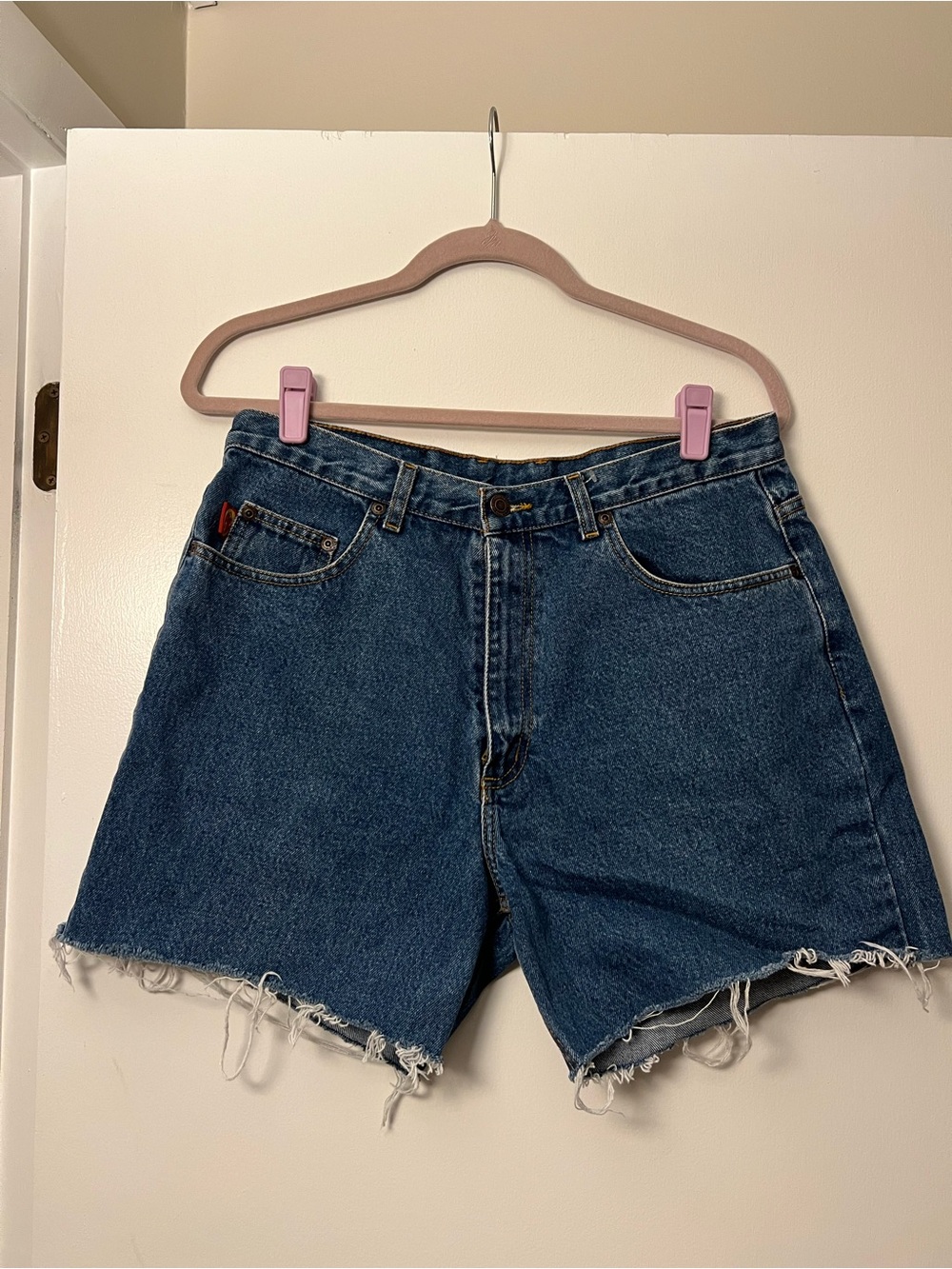 Raw Hem Denim Shorts